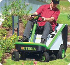 Etesia Bahia zitmaaier